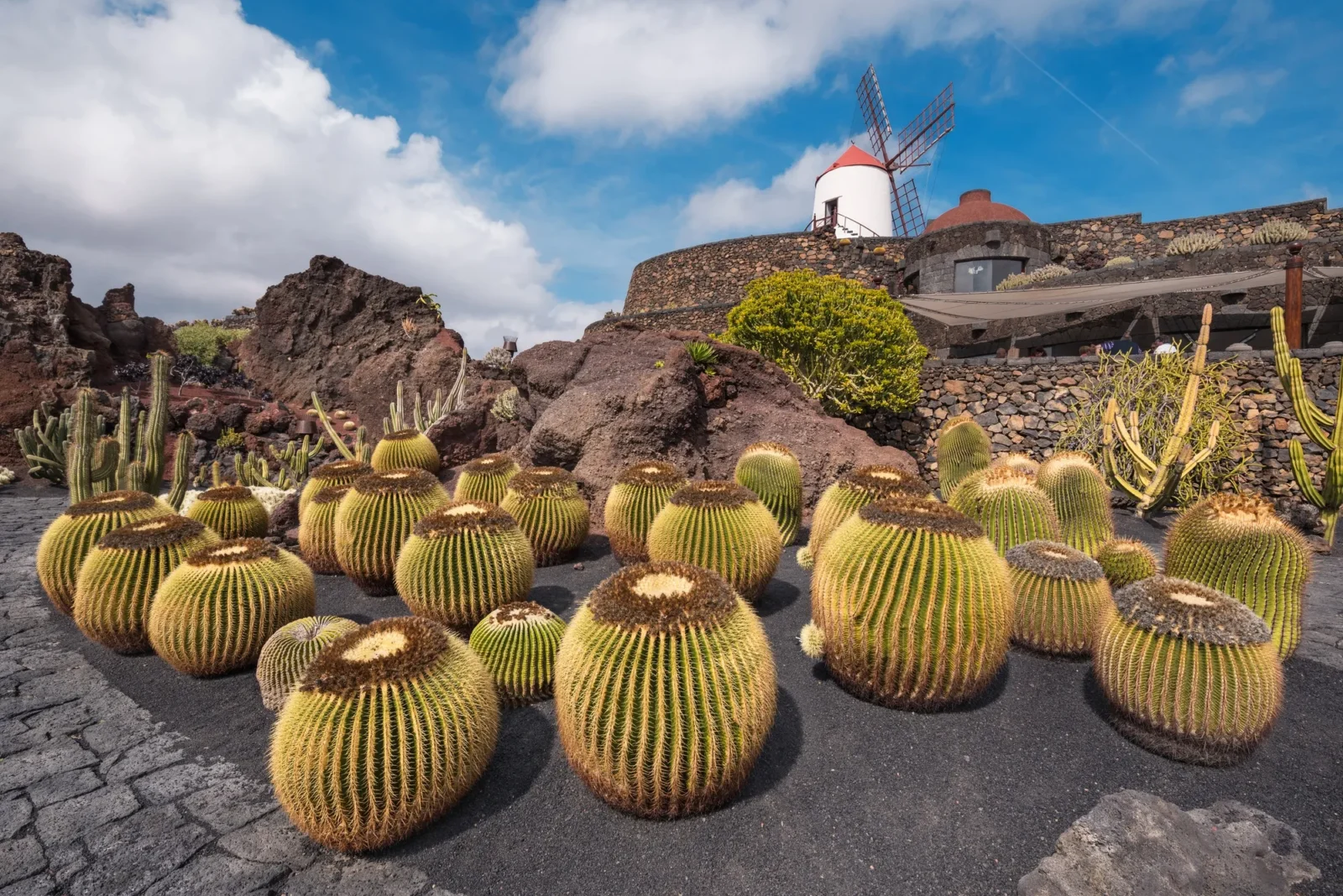 kaktusová zahrada v Guatiza, Lanzarote, Kanárské ostrovy, Španělsko